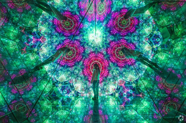 Lose yourself in the vibrant colored lights at the Imaginarium at Cal Expo.