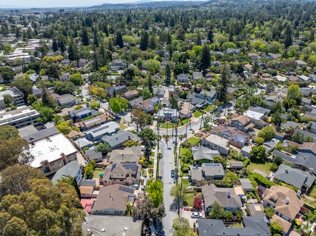 Streets of Burlingame Park from above, a lattice of tranquil suburban life.