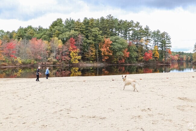 Buffumville Lake Park offers a scenic escape where nature’s beauty meets endless outdoor fun.