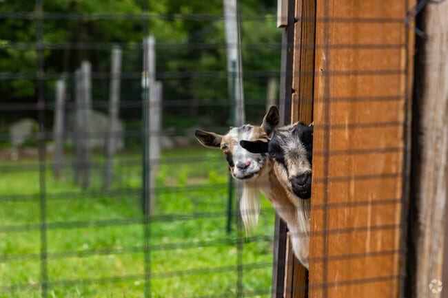 The residents of Douglas Farms and Orchard are always eager for visitors.
