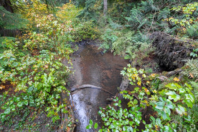 Tickle Creek meanders along the edge of Sandy.