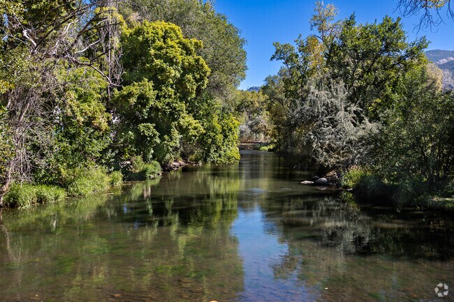 Trees line both sides of this river in Canyon Road.
