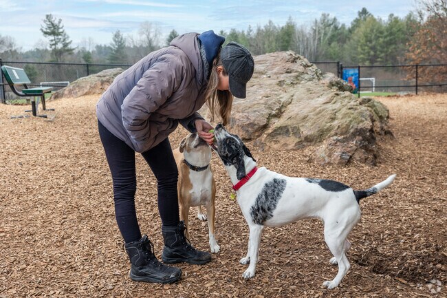 Dacey Community Field in Downtown Franklin offers an expansive Dog Park.
