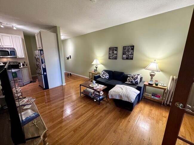 317 Summit Ave unit 3, Brighton, MA 02135 - photo 4