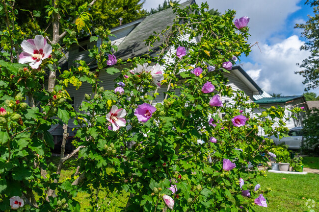 Enjoy the flowers found along the road of Stratton.
