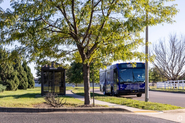 Locals can get around town by catching the bus one of the many bus stops around the Apollo area.