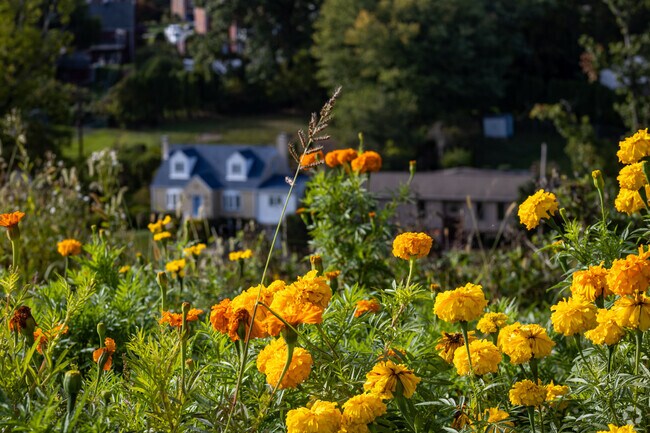 Hillside homes in Baldwin overlook green lawns and tree-lined streets.