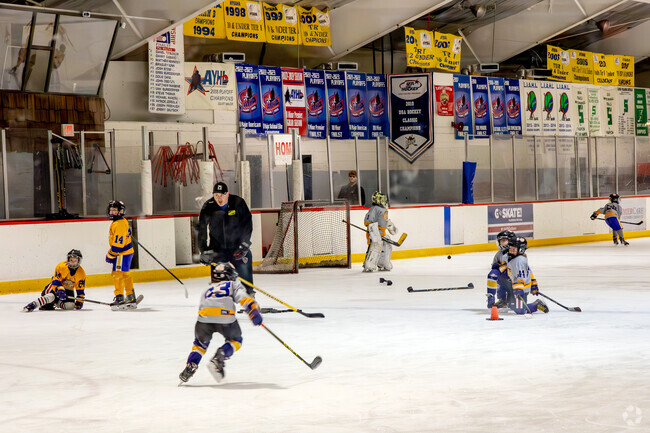 Your kids will enjoy hockey at Superior Ice Rink in Kings Park.