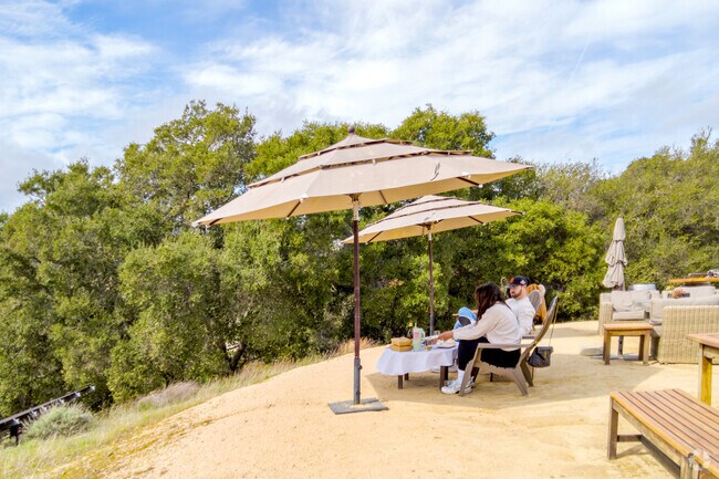 Arguello residents can enjoy local wines with hillside views at House Family Vineyards.