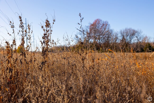 Much of the land in Bruner open field.