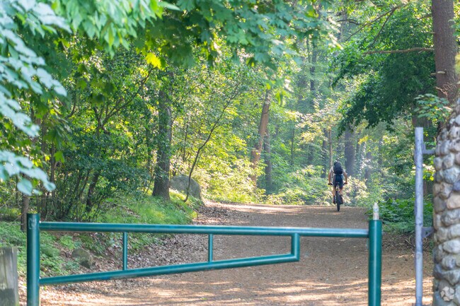 Take a ride through the nature-bound trails inside Lynn Woods.