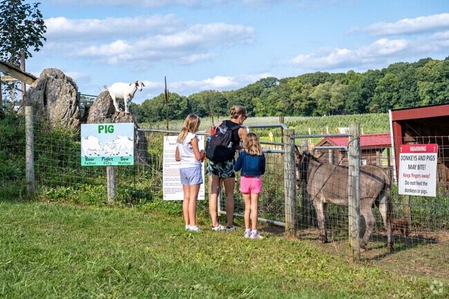 Feed the animals at Gaver Farm Fall Fun Fest.
