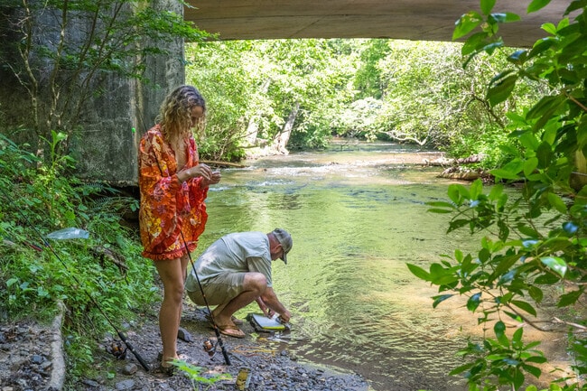Fish for trout in the Chattahoochee National Forest in Blairsville.