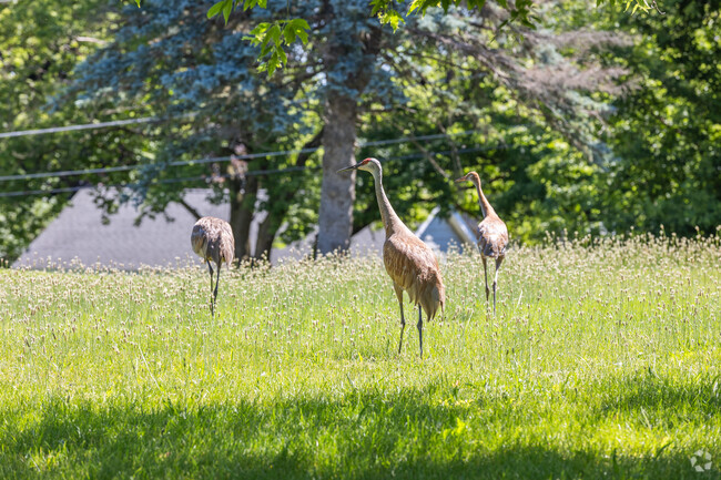 Duck Lake is home to a wide range of natural wildlife.