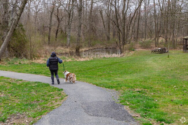 Close to home, Red Run Valley Trail is a popular spot for locals to walk their dogs.