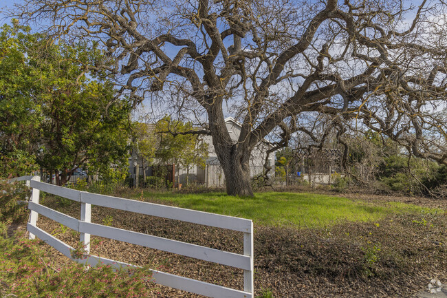 As its name would suggest, The Oaks is full of beautiful old growth oak trees.