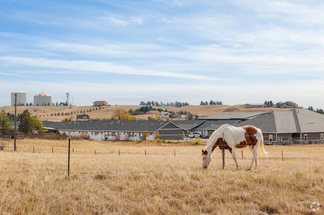 A common sight in Cheyenne, with an abundance of farms, stables, and wide open space.