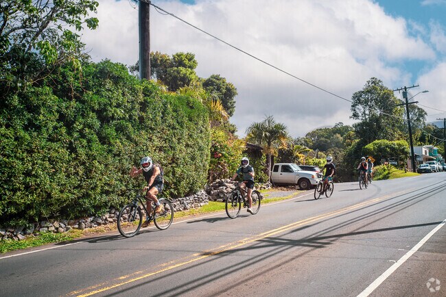 The area is a favorite among wellness seekers, with numerous retreat centers, massage therapists, and holistic health practitioners.