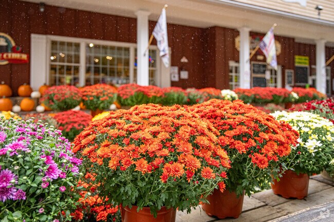 Celebrate the fall in Old Bridge with colorful flowers and fresh farm goods.