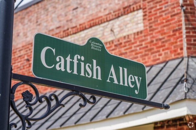 Catfish Alley in Columbus is a historic street that once served as a hub for Black-owned businesses, music, and culture in the city.