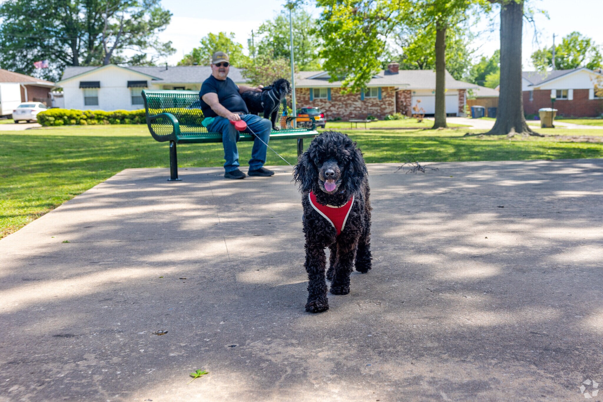 Darlington park is a favorite stop centered in Hoover.
