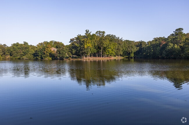 Hamilton Lakes Park has a gorgeous lake in Greensboro, NC.