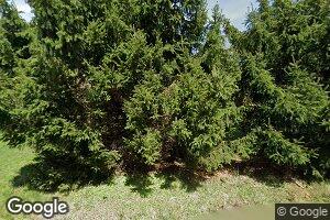 147 Telcott St, Hawk Run, PA 16840