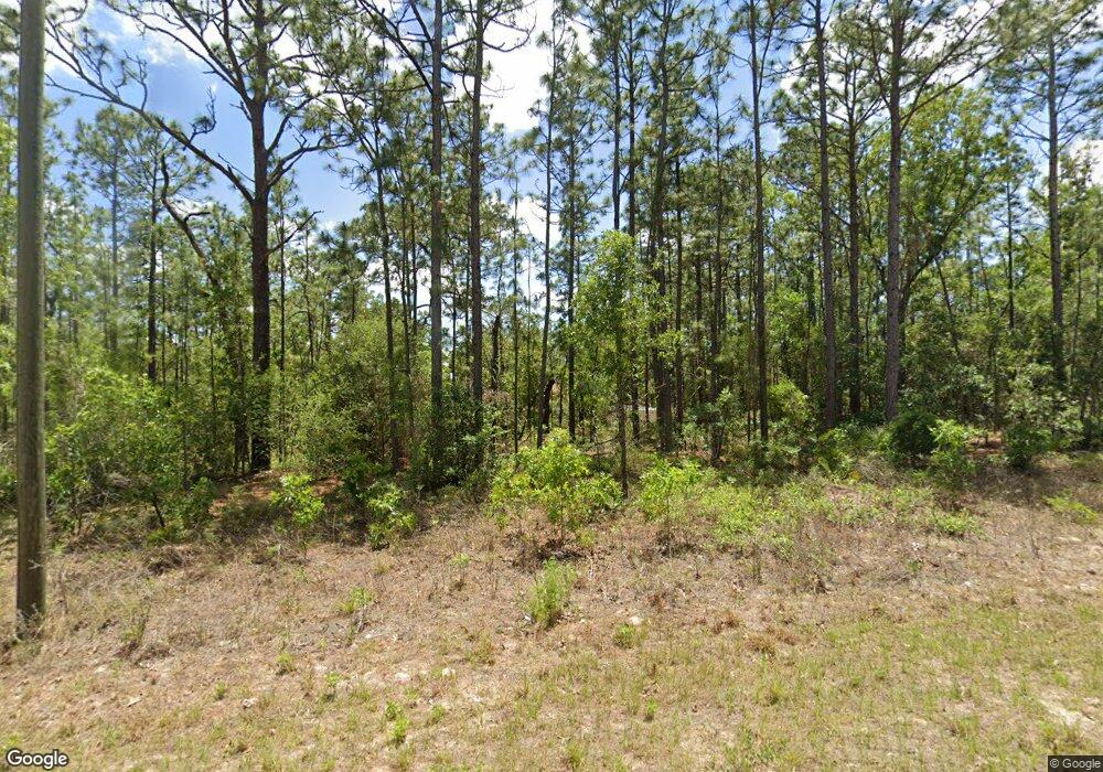 9325 N Fairy Lilly Dr, Citrus Springs, FL 34433 - photo 1