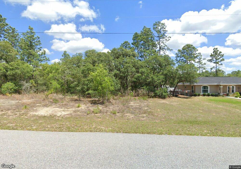 9711 N Fairy Lilly Dr, Citrus Springs, FL 34433 - photo 1