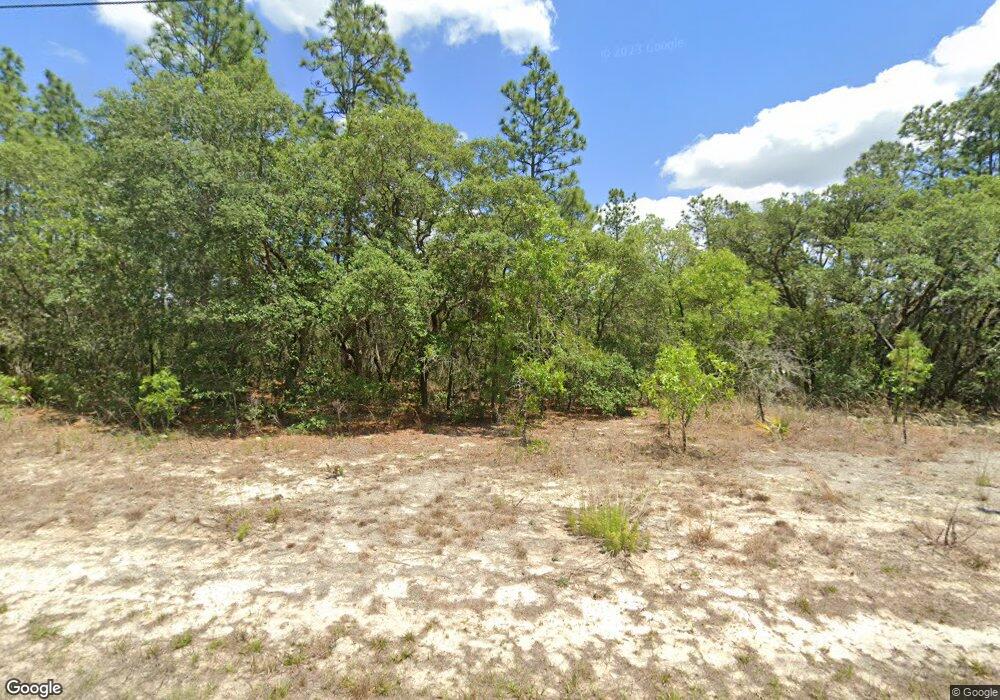 9729 N Fairy Lilly Dr, Citrus Springs, FL 34433 - photo 1