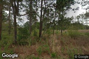 560 Julian Minchew Rd, Douglas, GA 31533