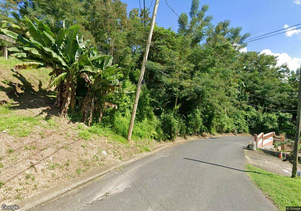 7784 7784, Caguas, PR 00727 - photo 1