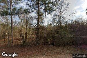 1053 W Hope Church Rd, Alamo, GA 30411
