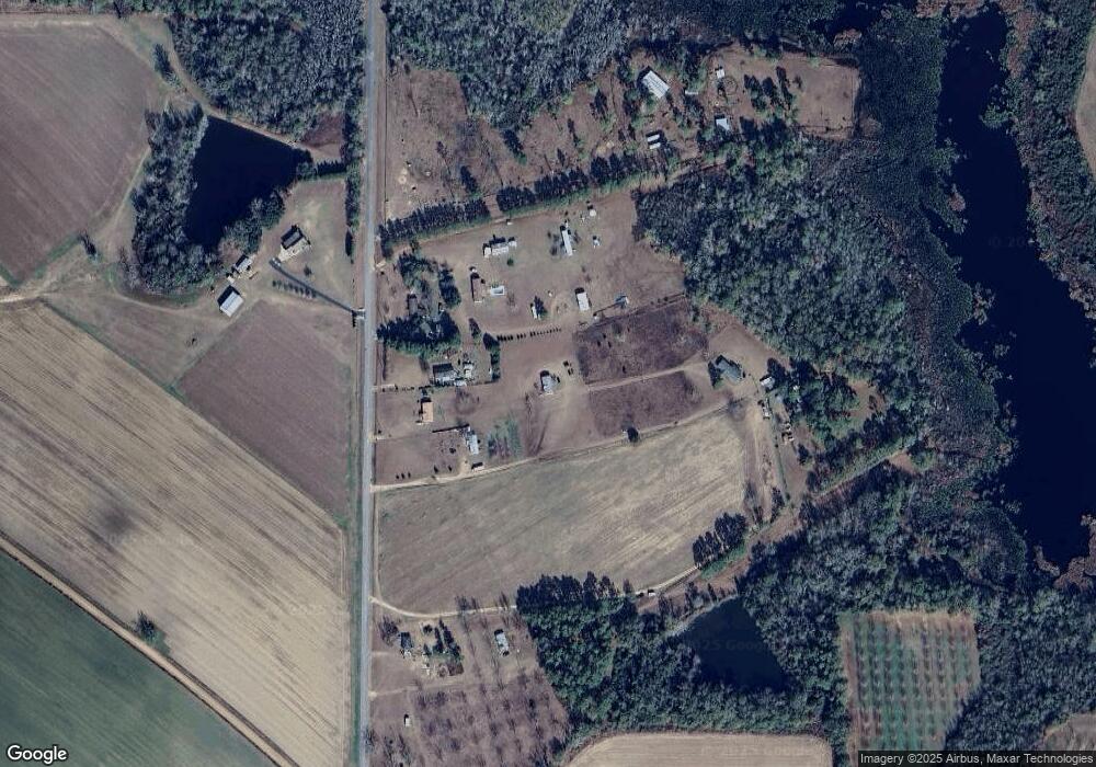 3840 Drew Ln, Pelham, GA 31779 - photo 1