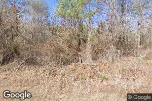 950 Grant Rd, Vina, AL 35593