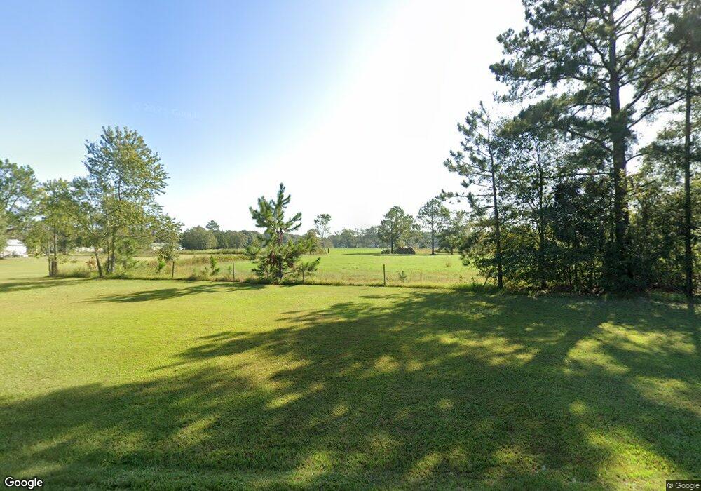 991 Old Dixie School Rd, Alma, GA 31510 - photo 1