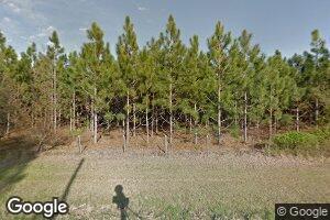 869 McGregor Alston Rd, Ailey, GA 30410