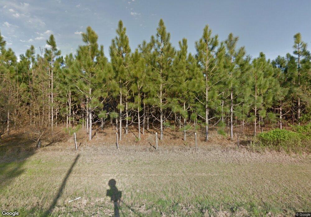 869 McGregor Alston Rd, Ailey, GA 30410 - photo 1