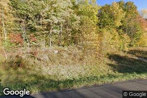 84+85 S Briggs Hill Rd S, Lisle, NY 13797