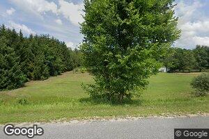 9916 E 64th St, Chase, MI 49623