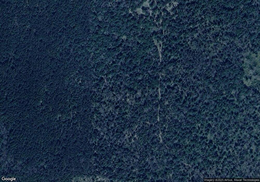 3313 S Woodin Dr, Baldwin, MI 49304 - photo 1