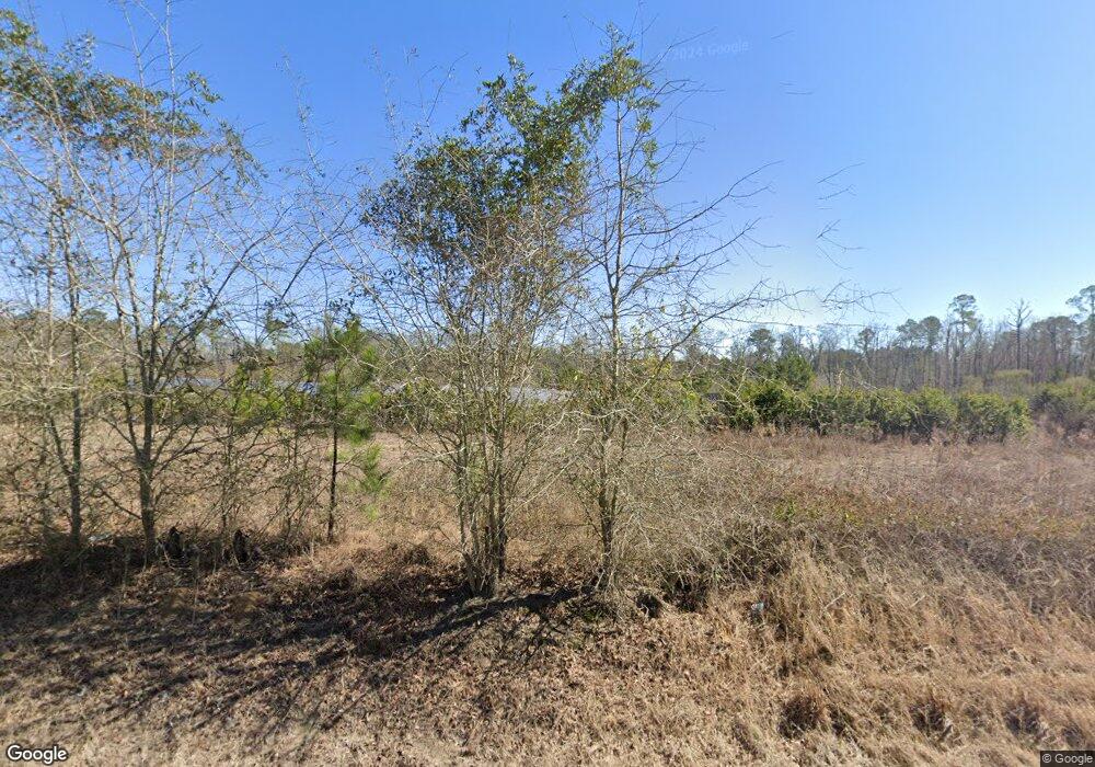 29480 Ga Highway 3, Ochlocknee, GA 31773 - photo 1