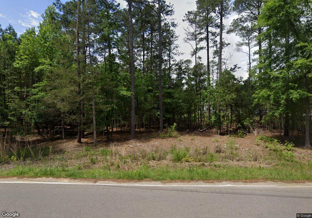 209 Jake Meetze Rd, Chapin, SC 29036 - photo 1