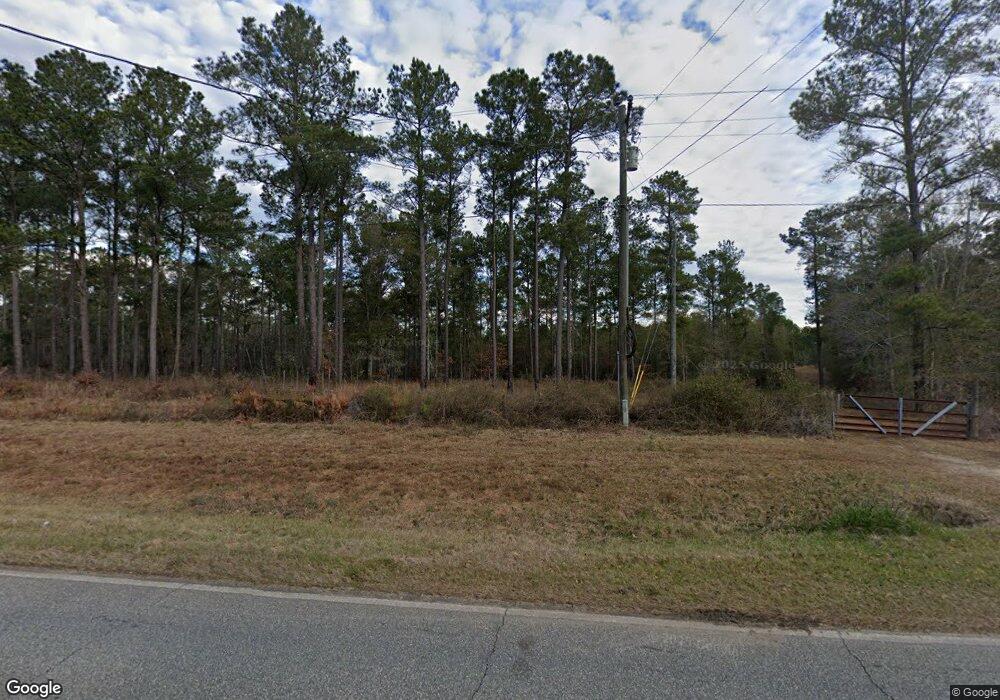 3466 Lake Douglas Rd, Climax, GA 39834 - photo 1