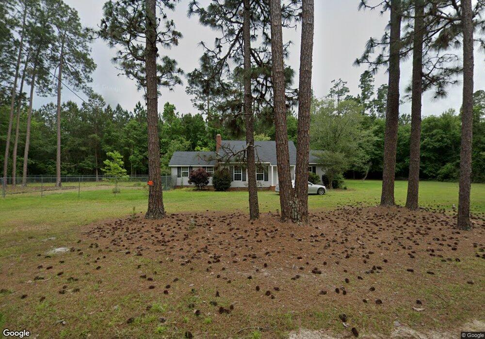 1317 Winnes Paulk Rd, Willacoochee, GA 31650 - photo 1