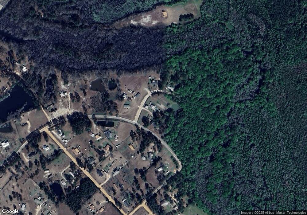 20 River Bend Dr, Willacoochee, GA 31650 - photo 1