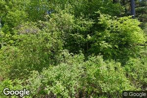 N5756 Pine Rd, Cecil, WI 54111