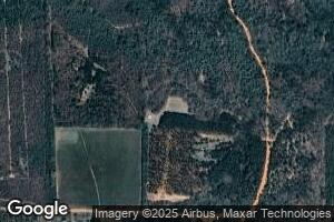 541 Perry Rd, Ellaville, GA 31806