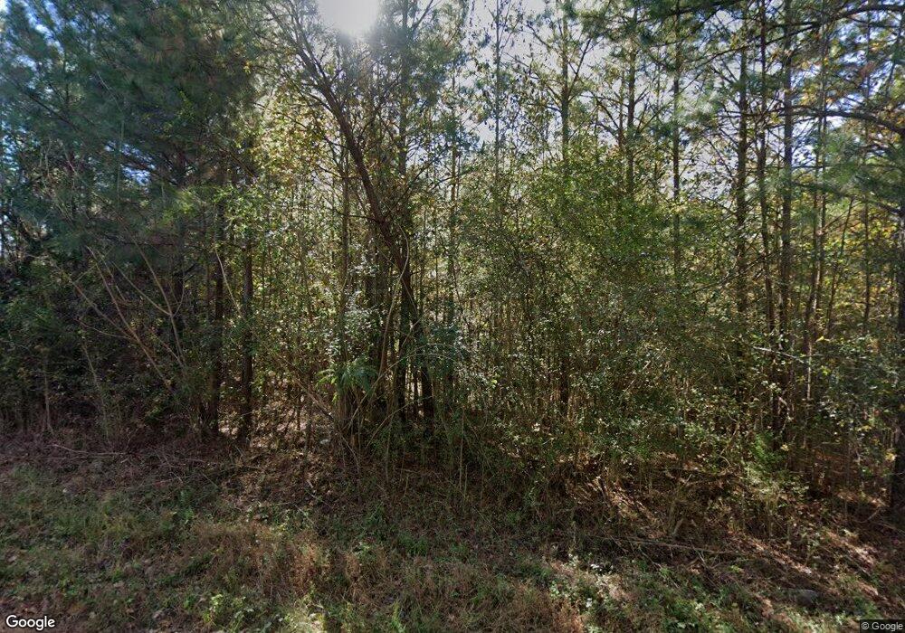 36 Holland Rd, Bowdon, GA 30108 - photo 1