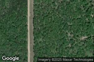 11328 S Guard Lake Rd, Reed City, MI 49677
